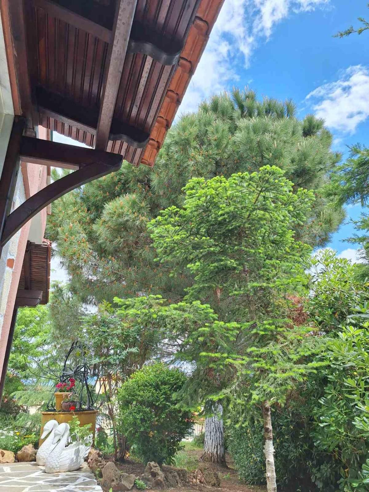 Roadhouse, Nilie Hospitality Mgmt Villa Флогита Екстериор снимка